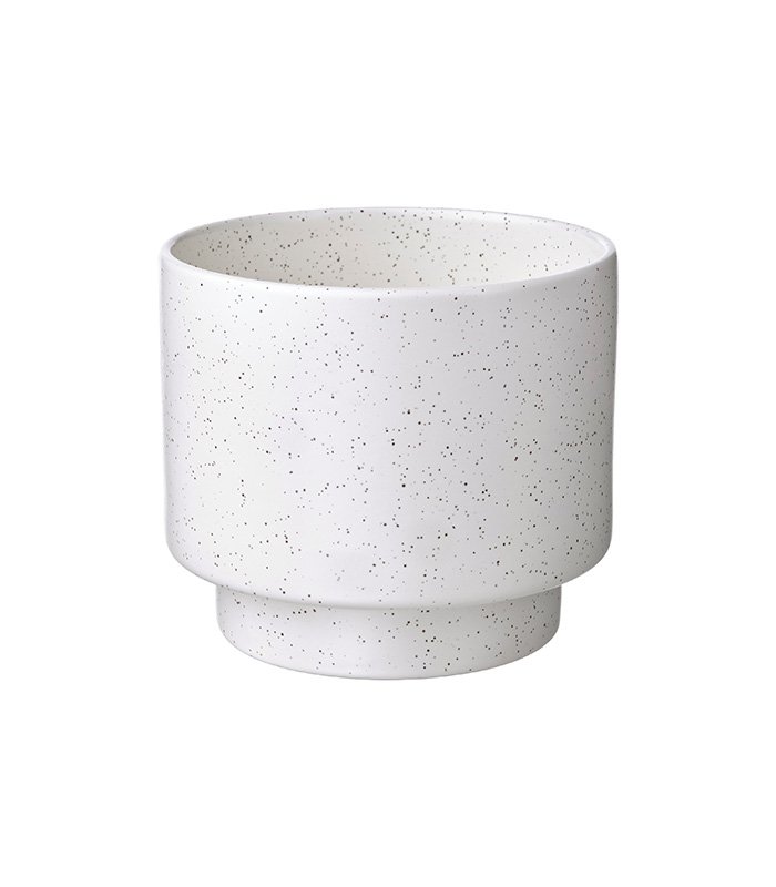 w-planters-2-2 Drakfrukt - Image 2