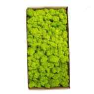 1500g Simulation Plants Eternal Life Moss /Garden Home Decor Wall DIY Flower Material Mini Garden Micro Landscape Fake Moss Gift - Image 3