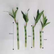 New 40cm rFtificial Lucky Bamboo Succulent Fake Plant Flower Green Potted Garden Outdoor Dining Table Fish Tank Home Decoration - Image 6